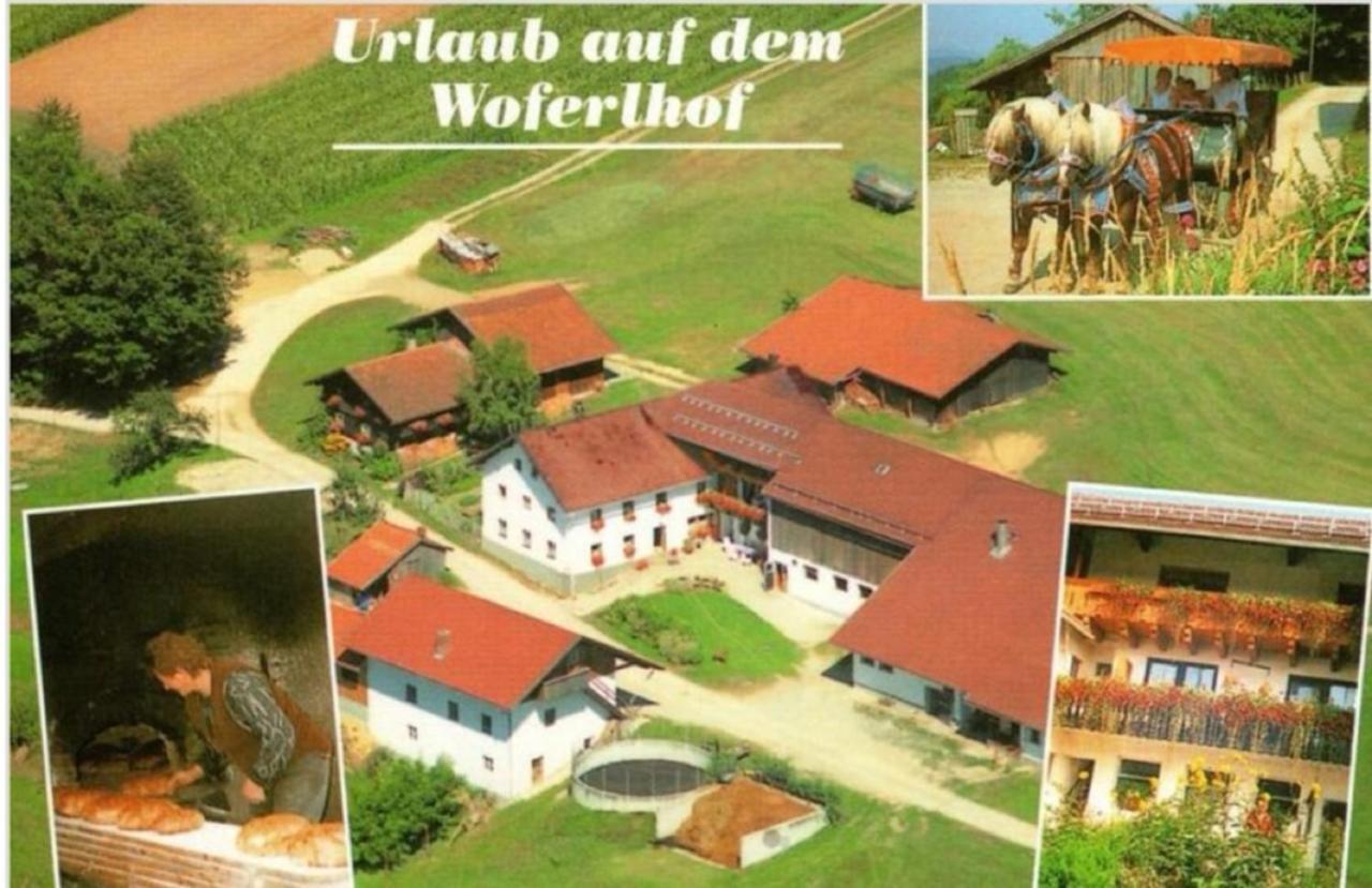 Woferlhof, Ferienhof Boxhorn Böbrach Eksteriør billede
