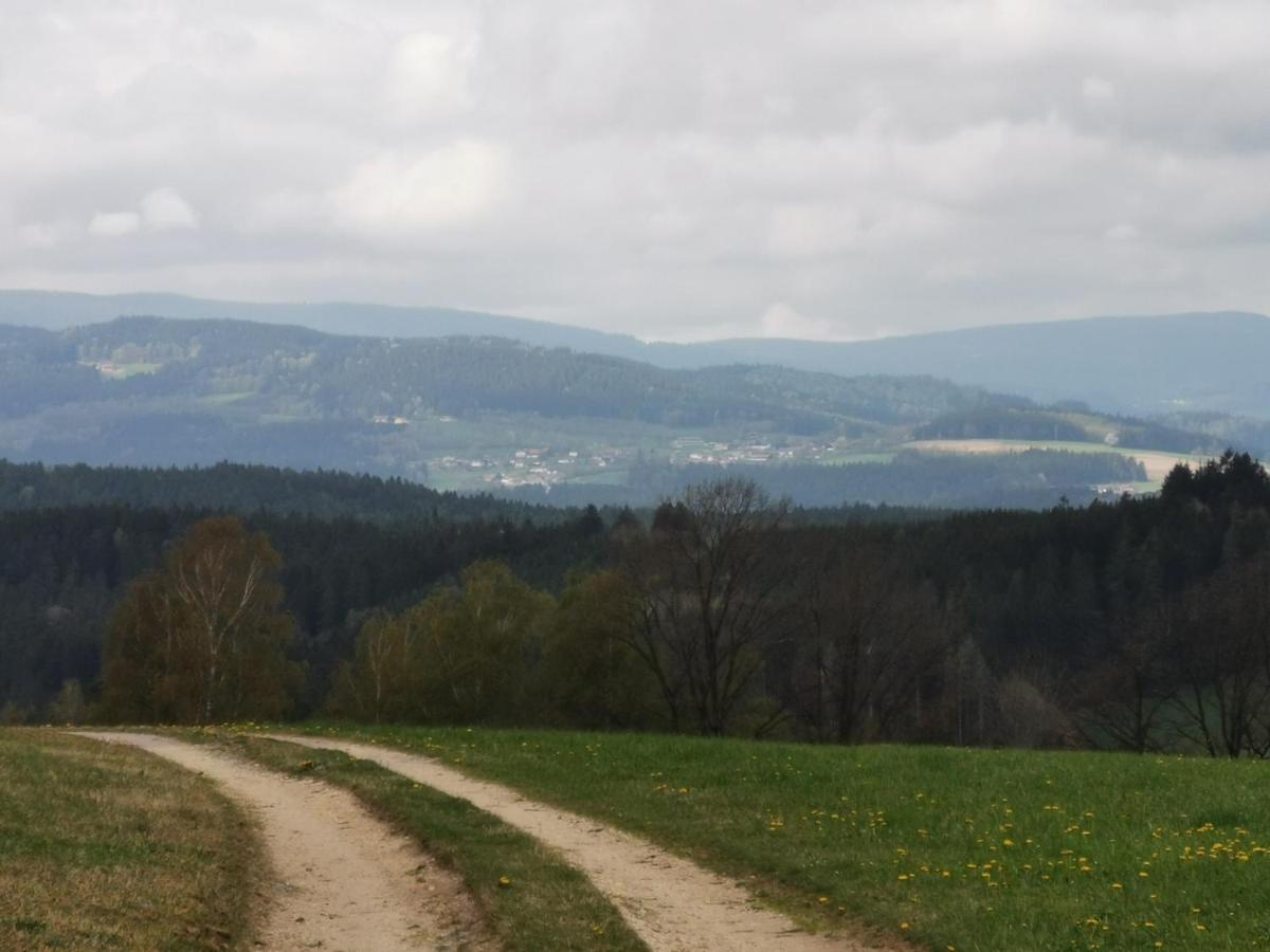 Woferlhof, Ferienhof Boxhorn Böbrach Eksteriør billede