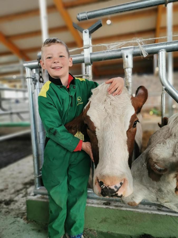 Woferlhof, Ferienhof Boxhorn Lejlighed Böbrach Eksteriør billede