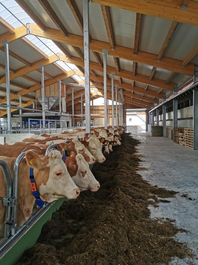 Woferlhof, Ferienhof Boxhorn Böbrach Eksteriør billede